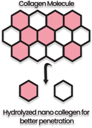 Nano Collagen Image